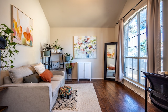 living room with dark hardwood / wood-style flooring and lofted ceiling