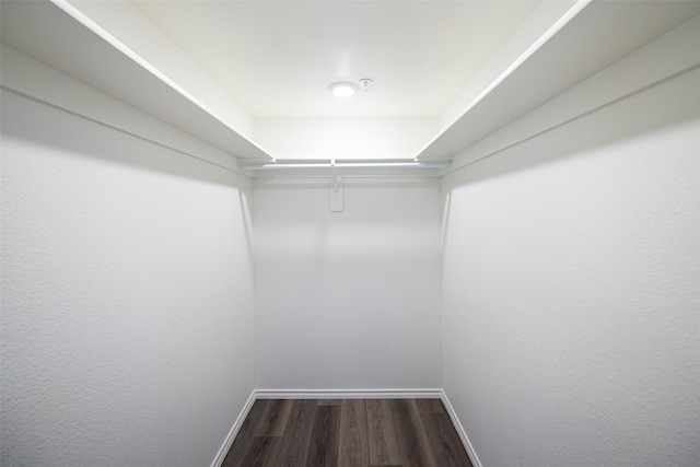 spacious closet with dark wood-type flooring