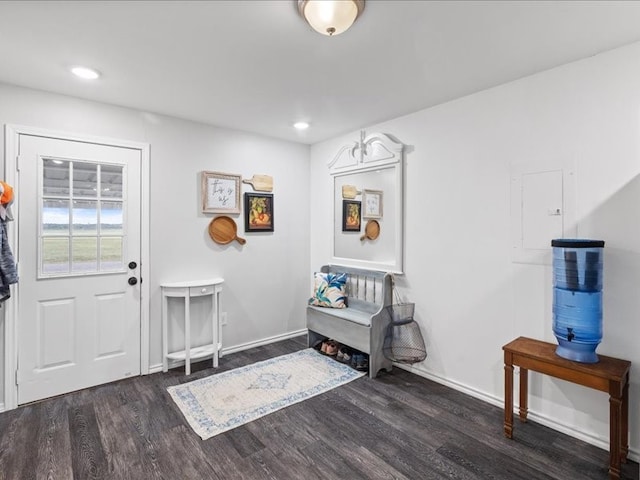 foyer featuring dark wood-type flooring