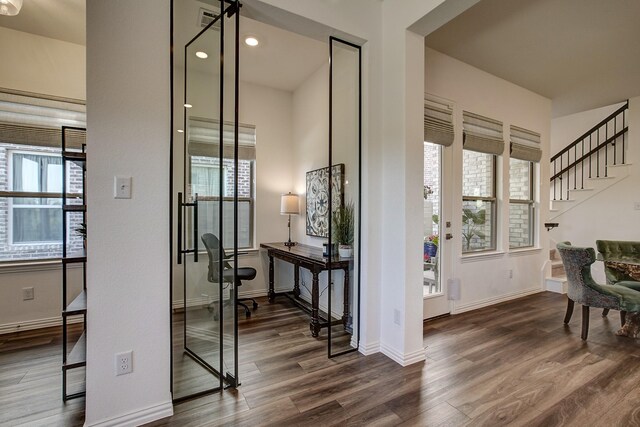 entryway with plenty of natural light and dark wood-type flooring