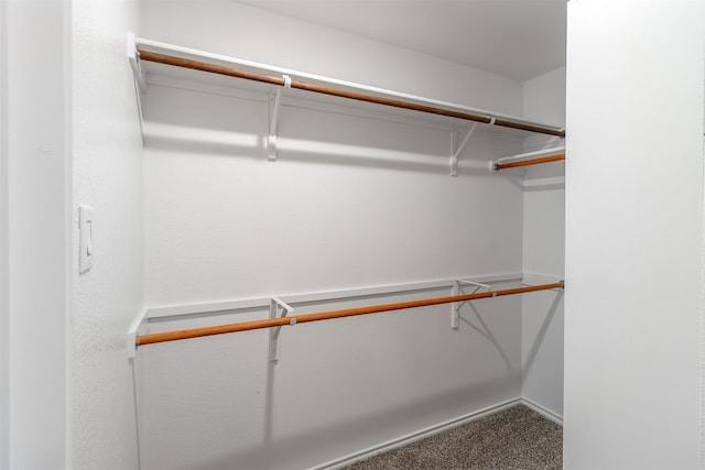 walk in closet with carpet