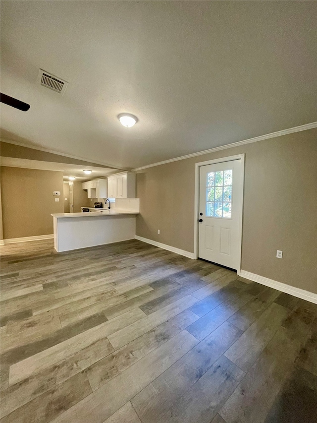 unfurnished living room with hardwood / wood-style floors, a textured ceiling, ornamental molding, and sink