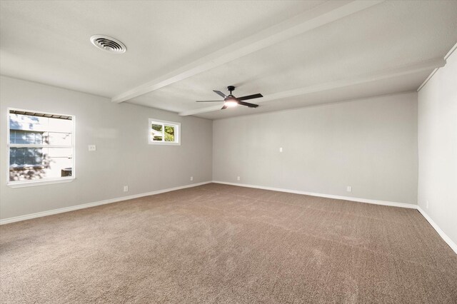 unfurnished bedroom featuring connected bathroom, two closets, ceiling fan, beamed ceiling, and carpet floors