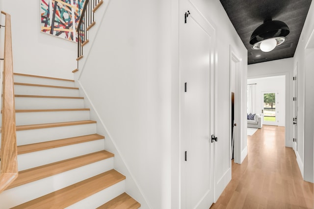 staircase featuring wood-type flooring