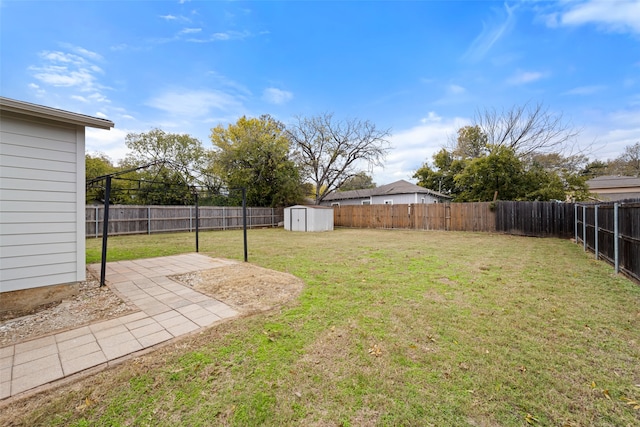 view of yard featuring a patio and a storage shed