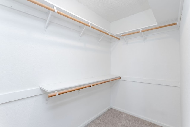 spacious closet with carpet flooring