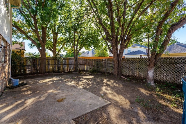 view of yard with a patio area