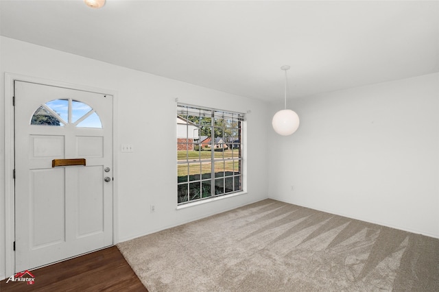 foyer entrance with hardwood / wood-style flooring