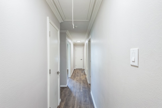 corridor with crown molding and dark wood-type flooring