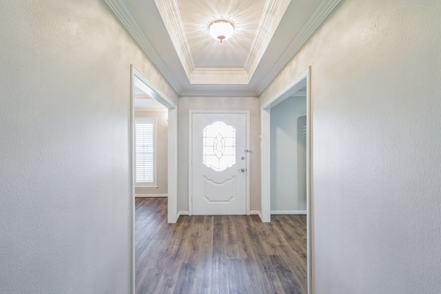 doorway with a tray ceiling, crown molding, and hardwood / wood-style flooring