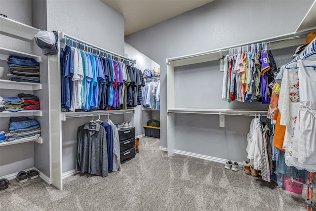 walk in closet featuring carpet flooring