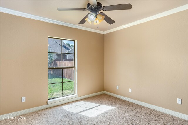 carpeted spare room with crown molding, ceiling fan, and a healthy amount of sunlight