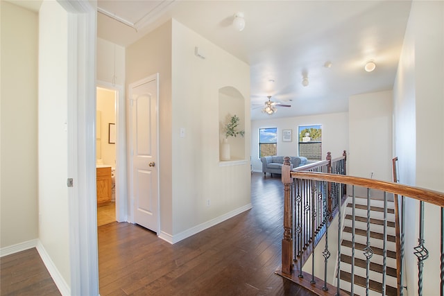 corridor with dark hardwood / wood-style flooring