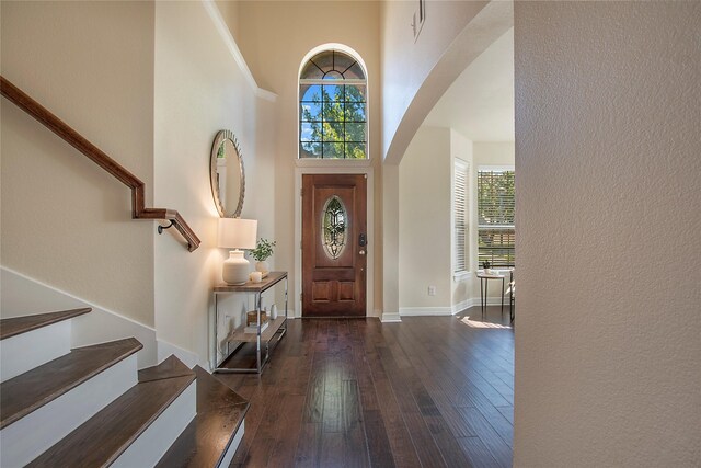 entryway with a high ceiling and dark wood-type flooring