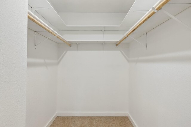 spacious closet with carpet flooring