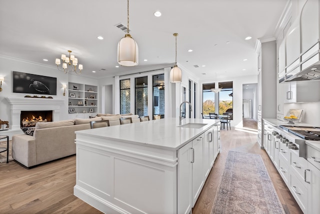 kitchen with sink, white cabinetry, an island with sink, and light hardwood / wood-style flooring