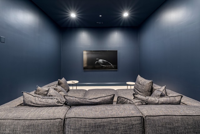 view of home theater