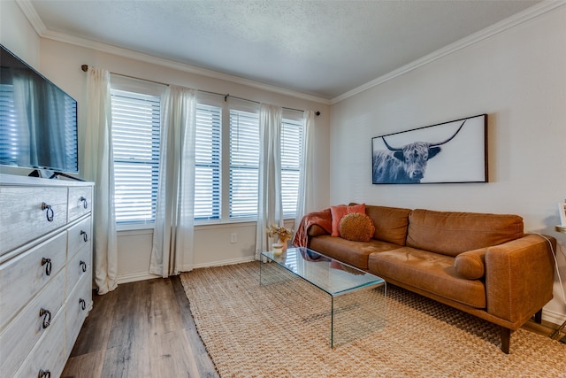 living room with crown molding, wood-type flooring, and a textured ceiling