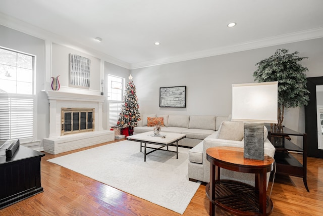 living room with a fireplace, crown molding, and light hardwood / wood-style flooring