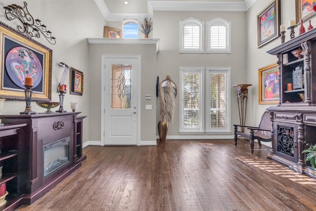 entrance foyer featuring a high ceiling, dark hardwood / wood-style floors, and ornamental molding