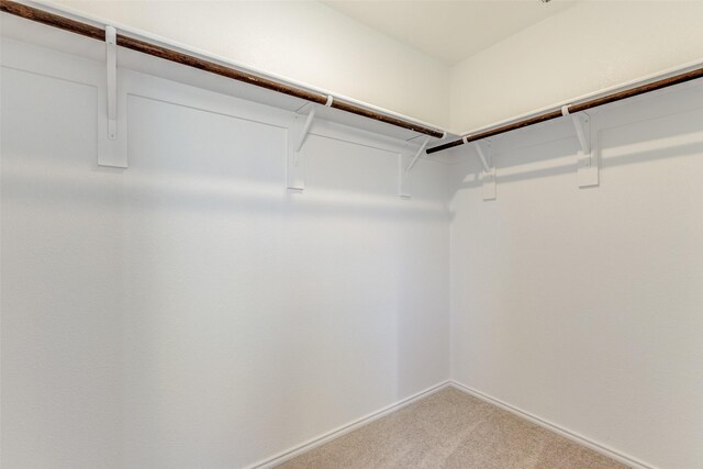 walk in closet featuring carpet flooring