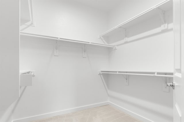 spacious closet with light carpet