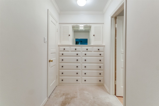 spacious closet with light colored carpet