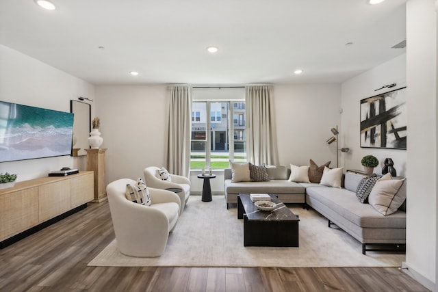 living room featuring wood-type flooring