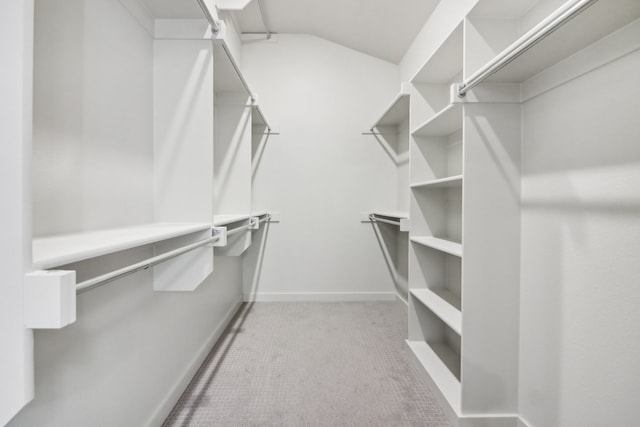 spacious closet featuring light carpet