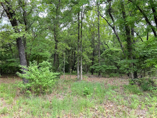 23388 Fm-1995, Lindale TX, 75771 land for sale