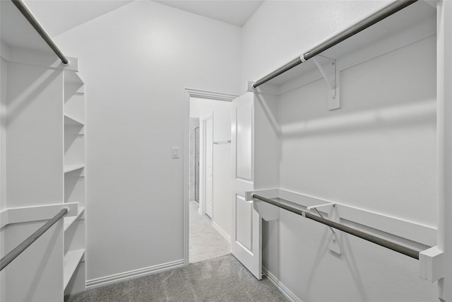 walk in closet featuring carpet floors