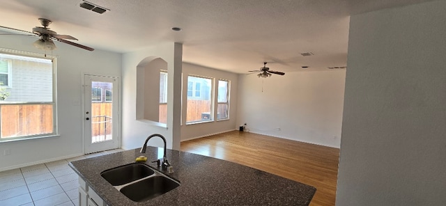 kitchen with an island with sink, sink, a wealth of natural light, and ceiling fan