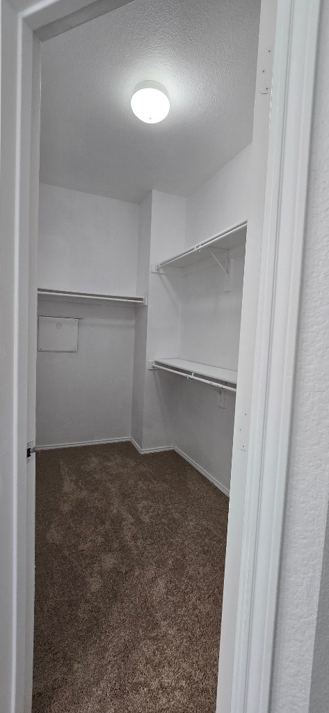 spacious closet with dark carpet