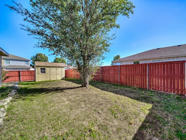 view of yard featuring a shed