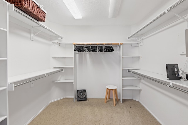 spacious closet featuring light colored carpet