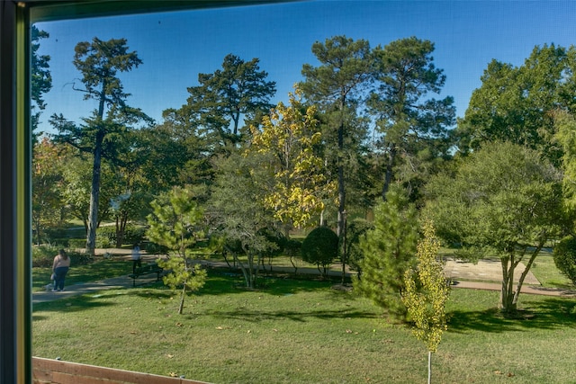 view of home's community with a yard