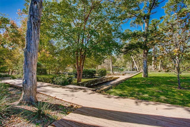 view of home's community featuring a yard