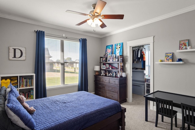 carpeted bedroom featuring a closet, ceiling fan, and crown molding