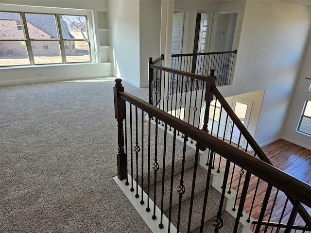 stairs with carpet floors