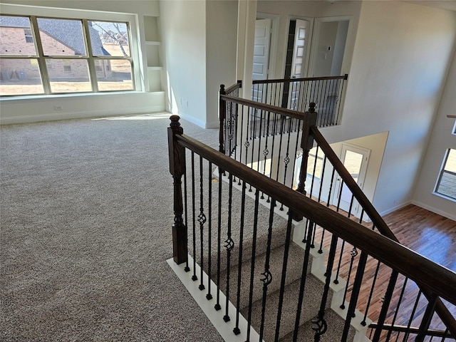 stairs with carpet flooring