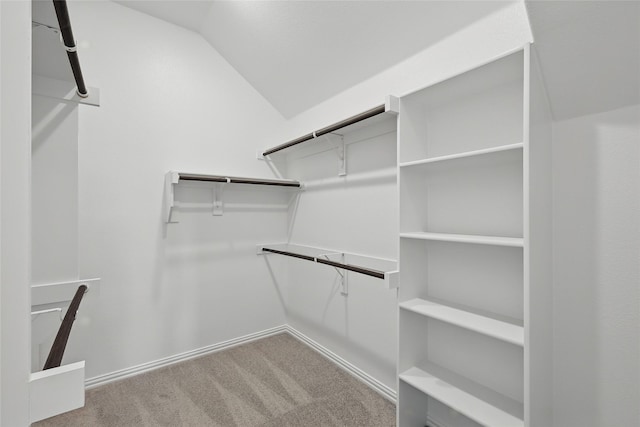 walk in closet featuring lofted ceiling and carpet flooring