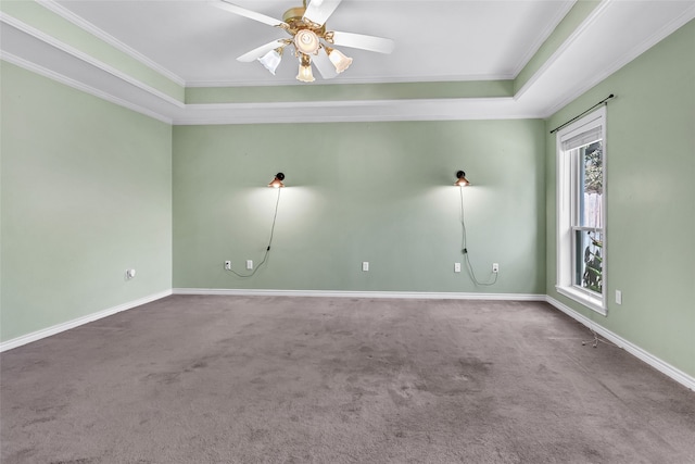 empty room with ceiling fan, a raised ceiling, carpet floors, and crown molding