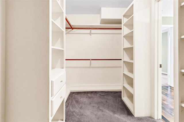 spacious closet featuring carpet