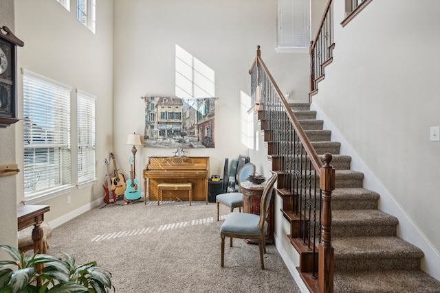 stairs featuring carpet flooring and a high ceiling