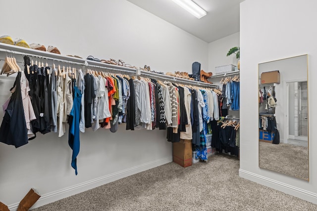 walk in closet with carpet flooring