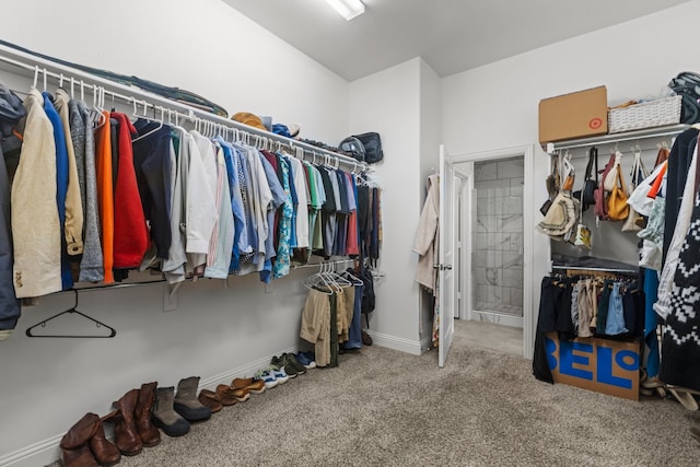 spacious closet featuring carpet flooring