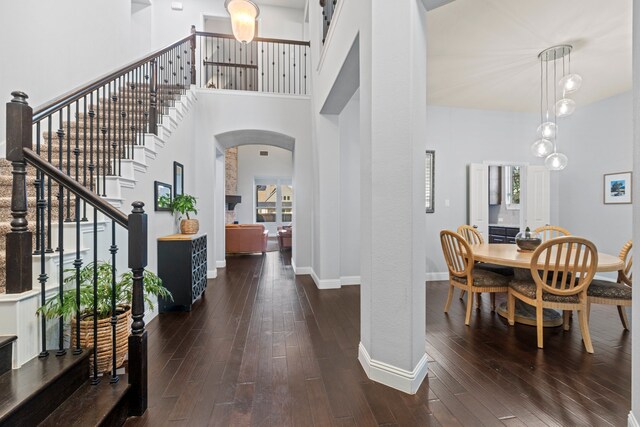 foyer entrance featuring dark wood-type flooring, plenty of natural light, and a high ceiling