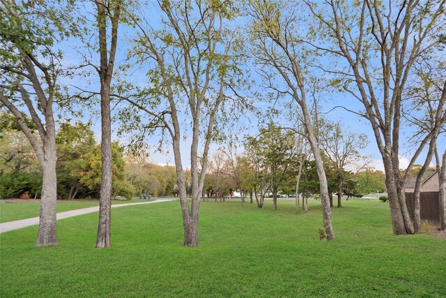 view of community featuring a yard