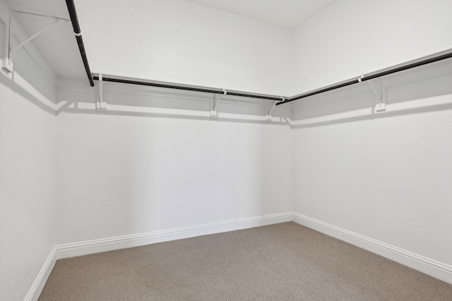 spacious closet with carpet flooring