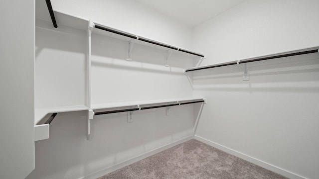 walk in closet featuring light carpet